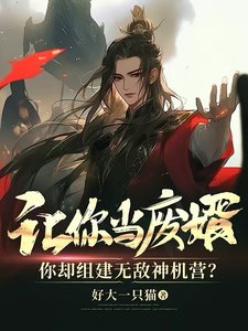 让你当废婿,你却组建无敌神机营?